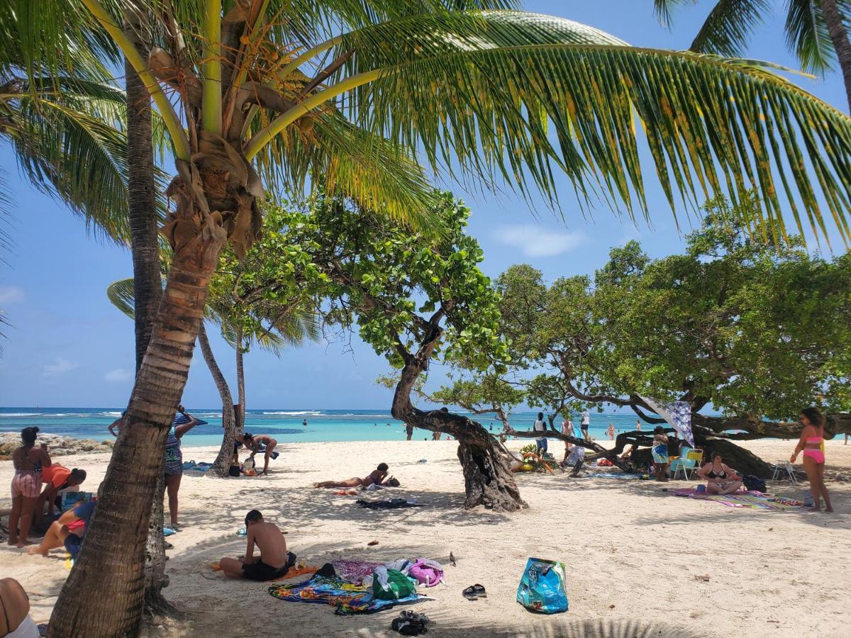Villa L'Anjou Creole A Sainte Anne En Guadeloupe Avec Piscine Privee Et 2 Chambres Pour 4 Personnes Zewnętrze zdjęcie