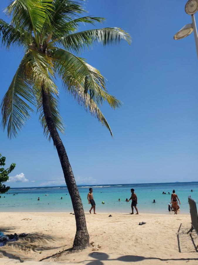 Villa L'Anjou Creole A Sainte Anne En Guadeloupe Avec Piscine Privee Et 2 Chambres Pour 4 Personnes Zewnętrze zdjęcie