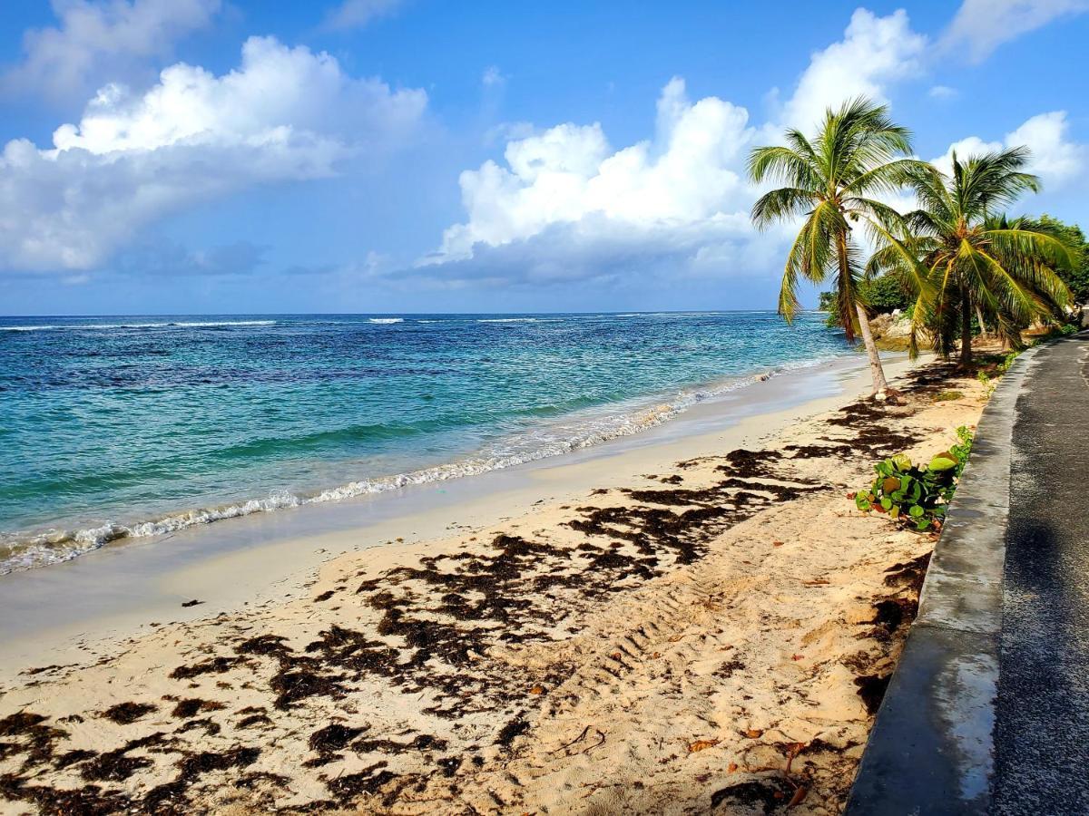 Villa L'Anjou Creole A Sainte Anne En Guadeloupe Avec Piscine Privee Et 2 Chambres Pour 4 Personnes Zewnętrze zdjęcie