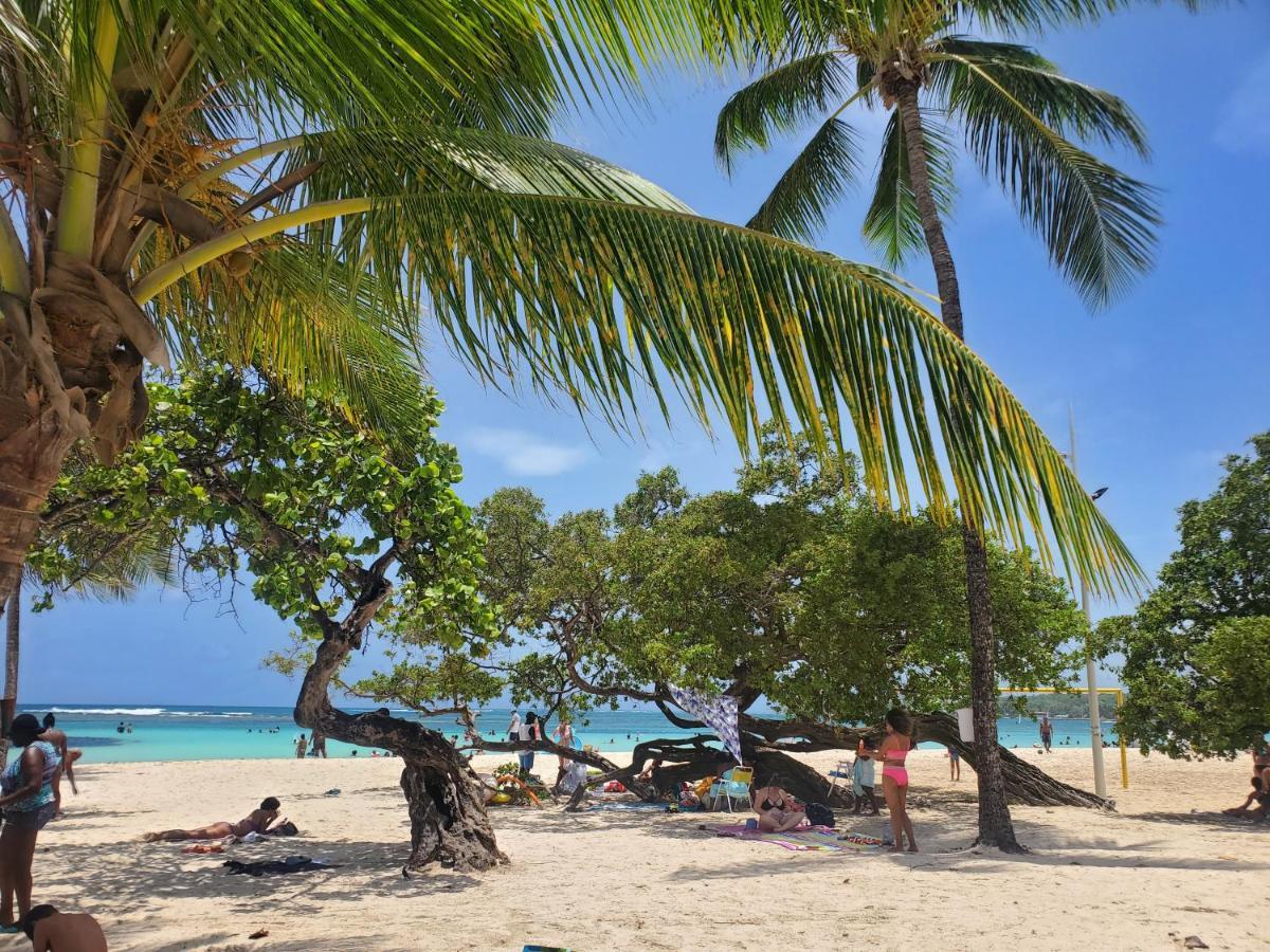 Villa L'Anjou Creole A Sainte Anne En Guadeloupe Avec Piscine Privee Et 2 Chambres Pour 4 Personnes Zewnętrze zdjęcie