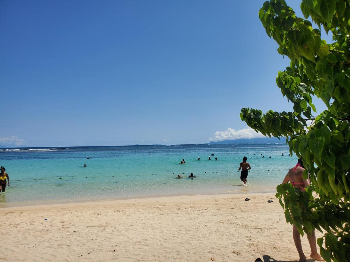 Villa L'Anjou Creole A Sainte Anne En Guadeloupe Avec Piscine Privee Et 2 Chambres Pour 4 Personnes Zewnętrze zdjęcie