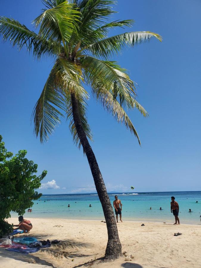 Villa L'Anjou Creole A Sainte Anne En Guadeloupe Avec Piscine Privee Et 2 Chambres Pour 4 Personnes Zewnętrze zdjęcie