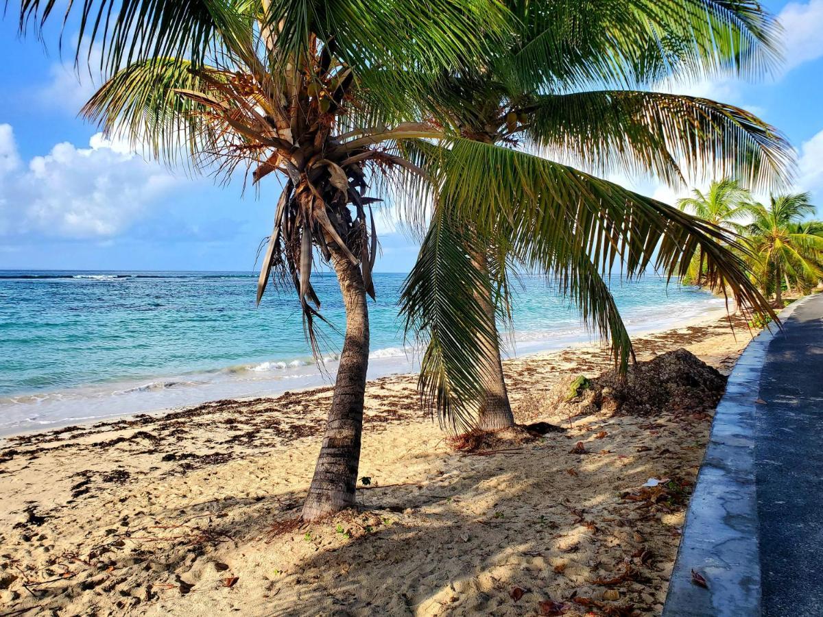 Villa L'Anjou Creole A Sainte Anne En Guadeloupe Avec Piscine Privee Et 2 Chambres Pour 4 Personnes Zewnętrze zdjęcie