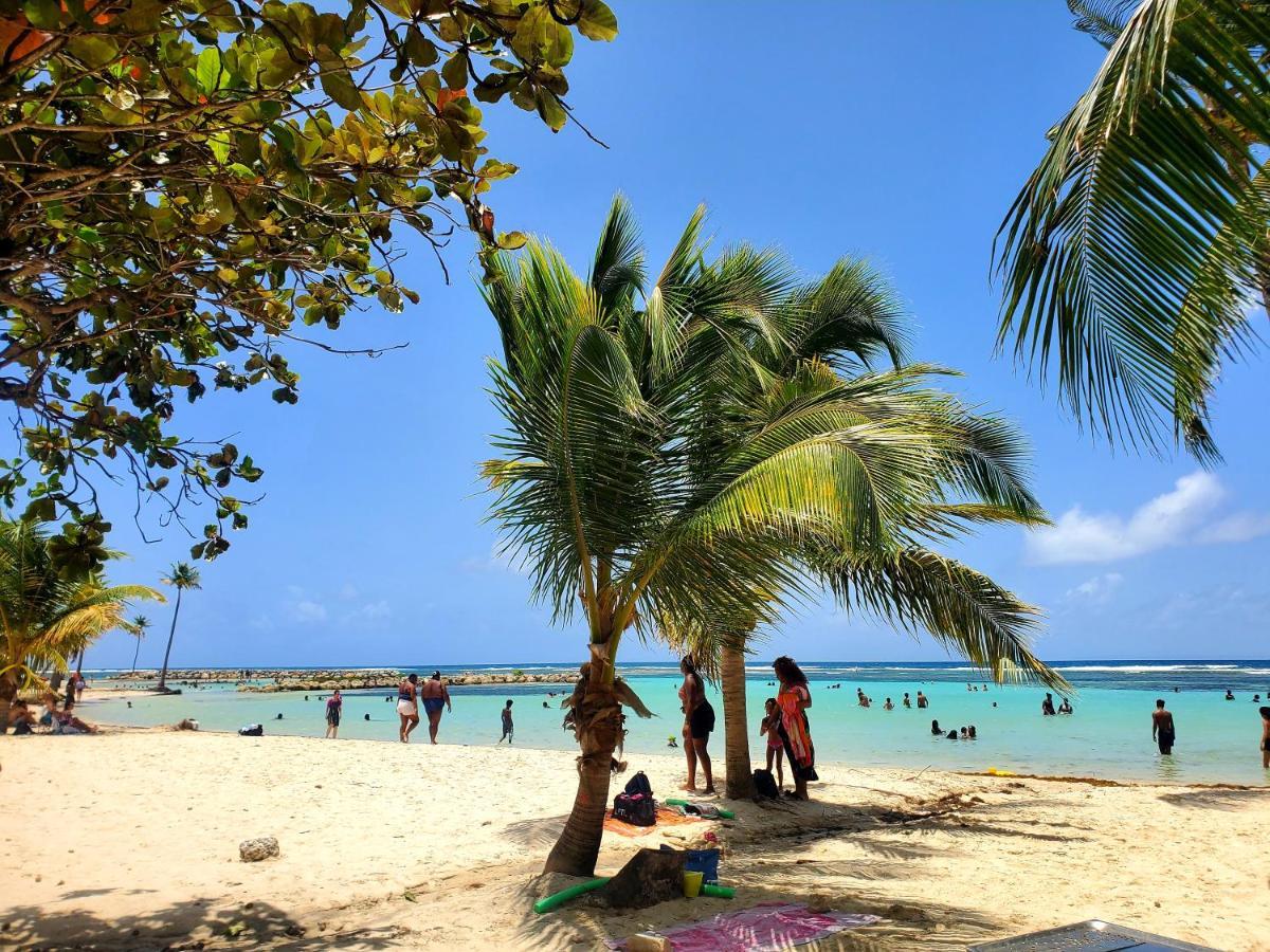 Villa L'Anjou Creole A Sainte Anne En Guadeloupe Avec Piscine Privee Et 2 Chambres Pour 4 Personnes Zewnętrze zdjęcie