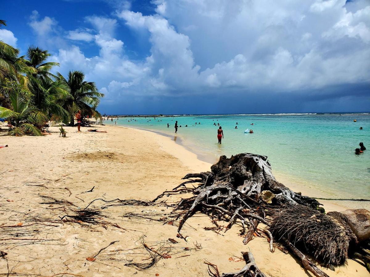 Villa L'Anjou Creole A Sainte Anne En Guadeloupe Avec Piscine Privee Et 2 Chambres Pour 4 Personnes Zewnętrze zdjęcie