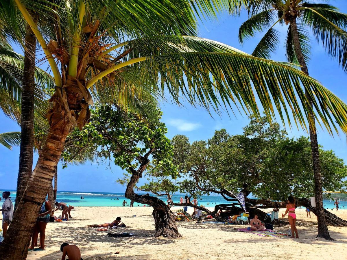 Villa L'Anjou Creole A Sainte Anne En Guadeloupe Avec Piscine Privee Et 2 Chambres Pour 4 Personnes Zewnętrze zdjęcie