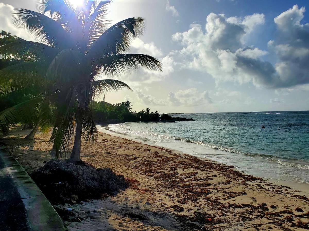 Villa L'Anjou Creole A Sainte Anne En Guadeloupe Avec Piscine Privee Et 2 Chambres Pour 4 Personnes Zewnętrze zdjęcie