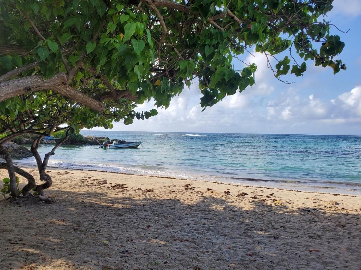 Villa L'Anjou Creole A Sainte Anne En Guadeloupe Avec Piscine Privee Et 2 Chambres Pour 4 Personnes Zewnętrze zdjęcie
