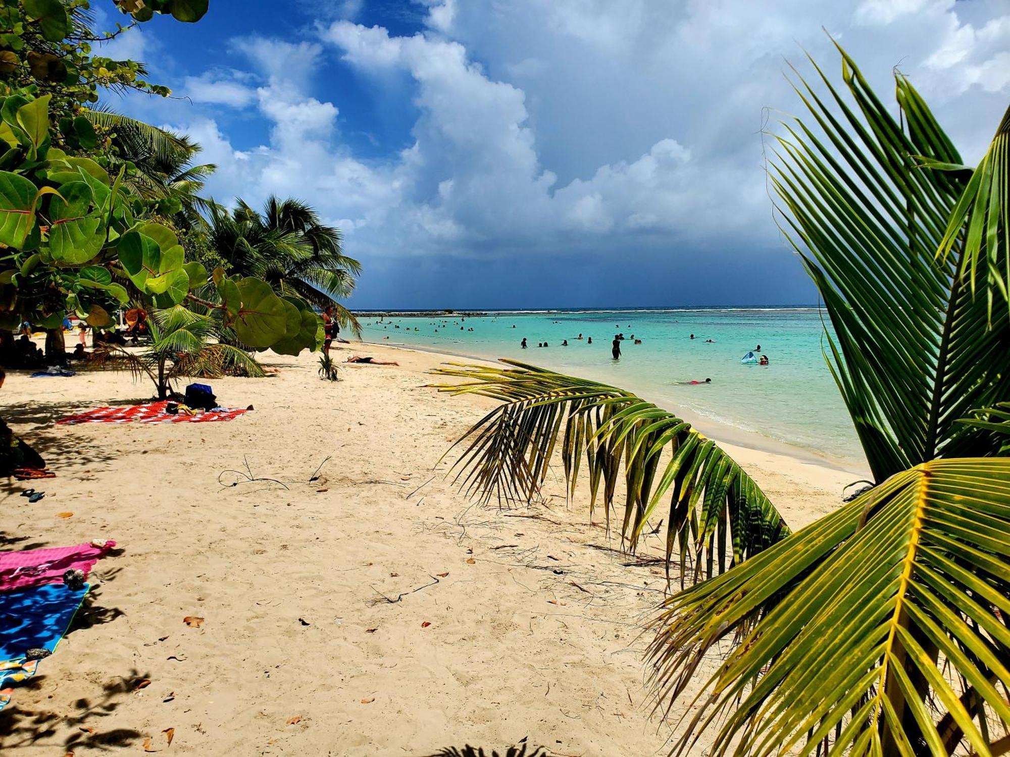 Villa L'Anjou Creole A Sainte Anne En Guadeloupe Avec Piscine Privee Et 2 Chambres Pour 4 Personnes Zewnętrze zdjęcie