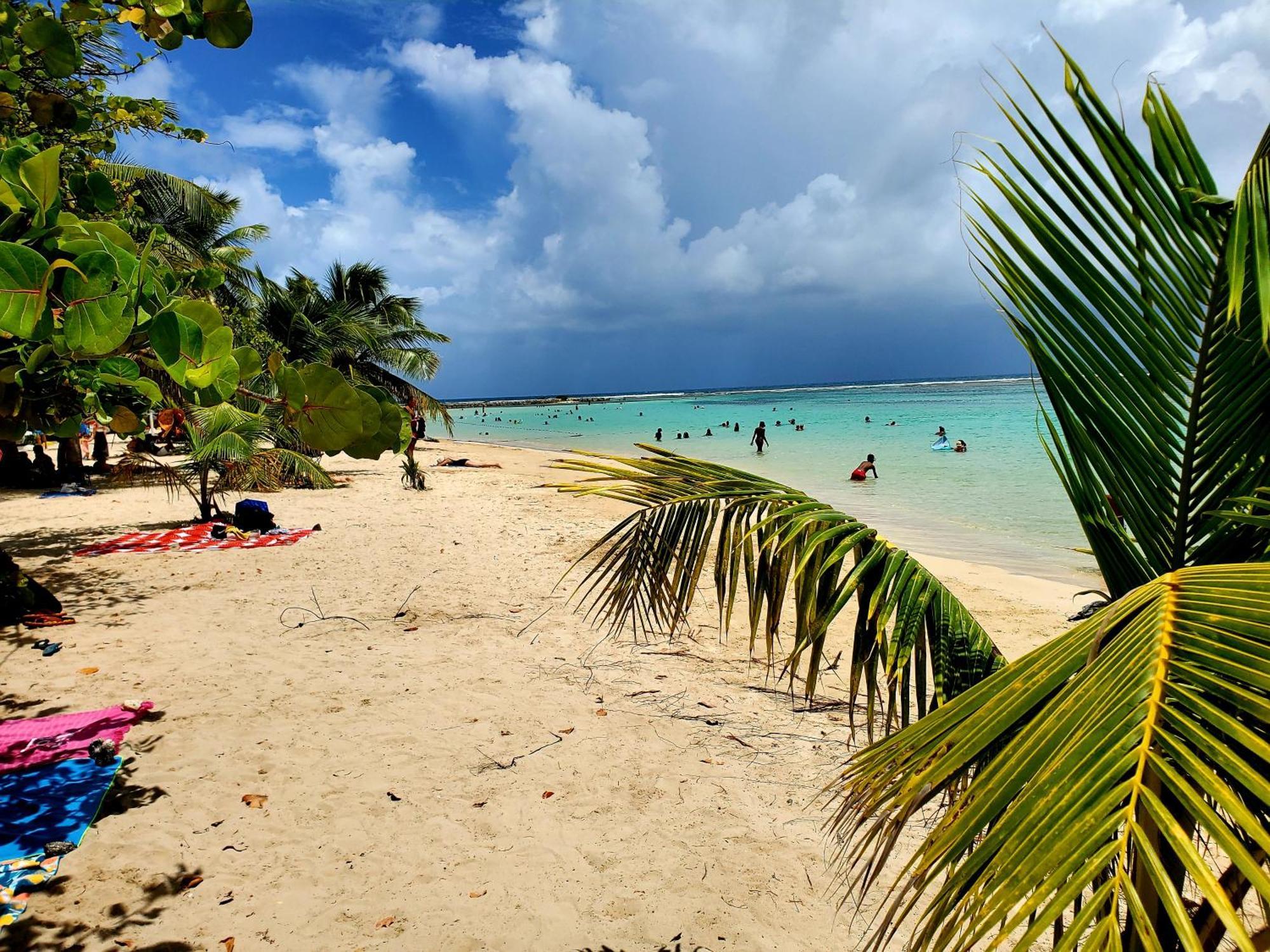 Villa L'Anjou Creole A Sainte Anne En Guadeloupe Avec Piscine Privee Et 2 Chambres Pour 4 Personnes Zewnętrze zdjęcie